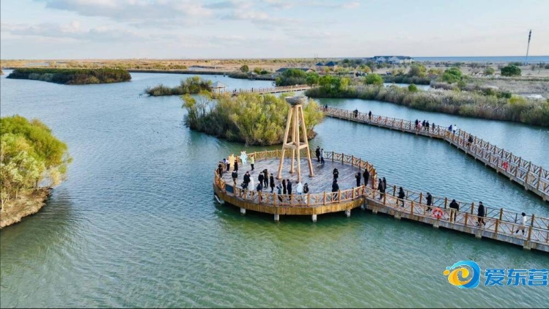 新星崛起闪 新星崛起闪